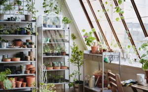 ikea-a-practical-place-for-pots-plants-and-gardening-tools__1364311962371-s4